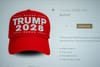 Trump's “Fake Emergency Scam” to Target Elections